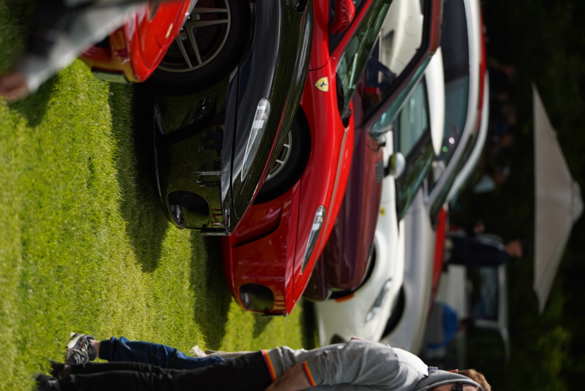 Ferrari na trawniku Pałacu Rozalin